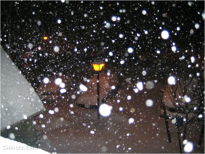 winter 001.jpg