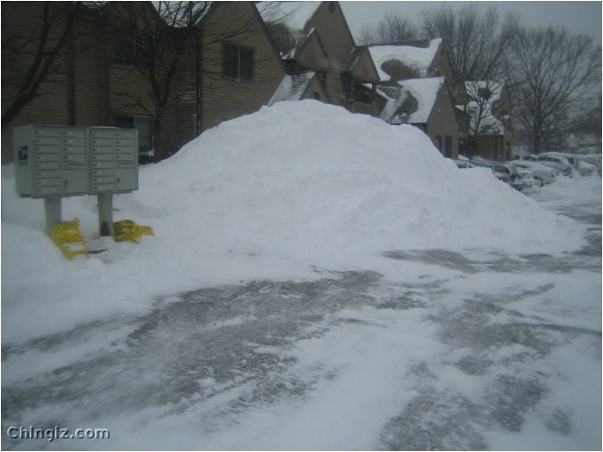 winter 012.jpg