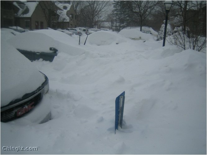 winter 016.jpg