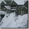 winter 011.jpg