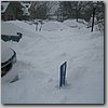 winter 016.jpg