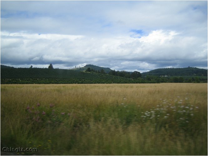 oregon 005.jpg