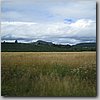 oregon 005.jpg