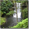 oregon 109.jpg